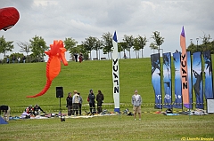 Venice kite festival_0544